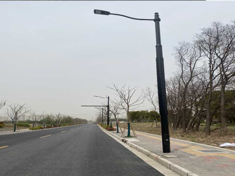 罗江区上海综合杆 太阳能路灯工程